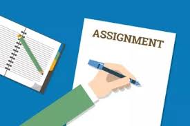Assignment中的essay和report有什么区别？